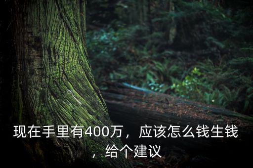 現(xiàn)在手里有400萬，應該怎么錢生錢，給個建議