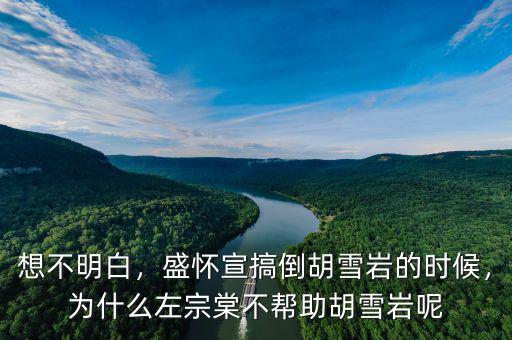 想不明白，盛懷宣搞倒胡雪巖的時(shí)候，為什么左宗棠不幫助胡雪巖呢