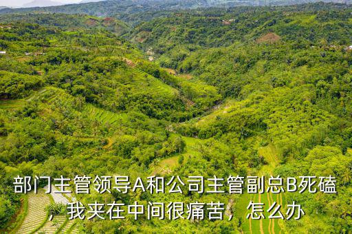 部門(mén)主管領(lǐng)導(dǎo)A和公司主管副總B死磕，我?jiàn)A在中間很痛苦，怎么辦