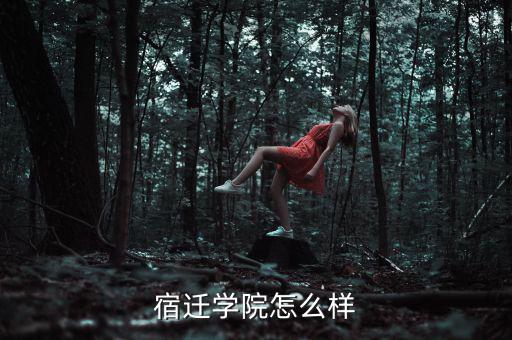 宿遷學院怎么樣