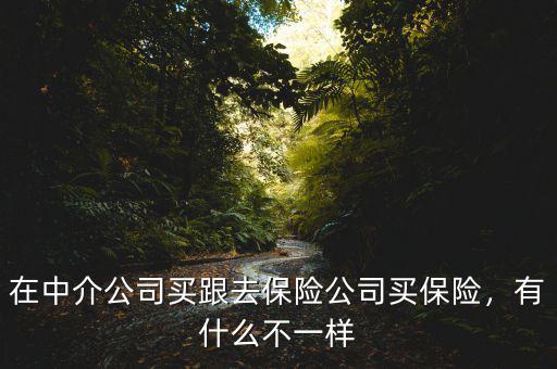 在中介公司買跟去保險公司買保險，有什么不一樣