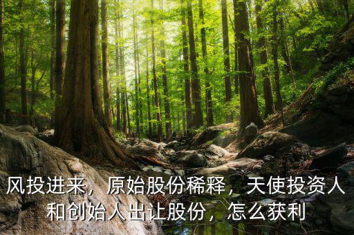 風(fēng)投進(jìn)來(lái)，原始股份稀釋，天使投資人和創(chuàng)始人出讓股份，怎么獲利