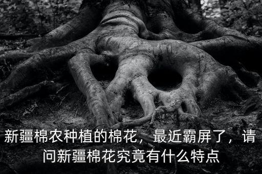 新疆棉農(nóng)種植的棉花，最近霸屏了，請(qǐng)問(wèn)新疆棉花究竟有什么特點(diǎn)