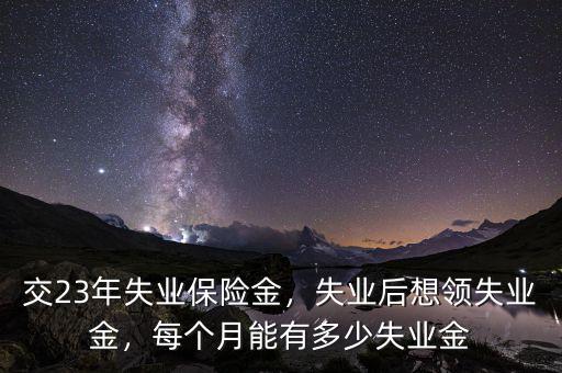 交23年失業(yè)保險(xiǎn)金，失業(yè)后想領(lǐng)失業(yè)金，每個(gè)月能有多少失業(yè)金