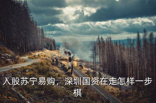 入股蘇寧易購，深圳國資在走怎樣一步棋