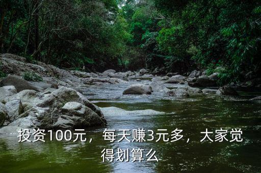 投資100元，每天賺3元多，大家覺得劃算么
