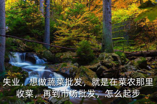 失業(yè)，想做蔬菜批發(fā)，就是在菜農(nóng)那里收菜，再到市場批發(fā)，怎么起步