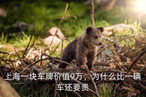 上海一塊車牌價(jià)值9萬，為什么比一輛車還要貴