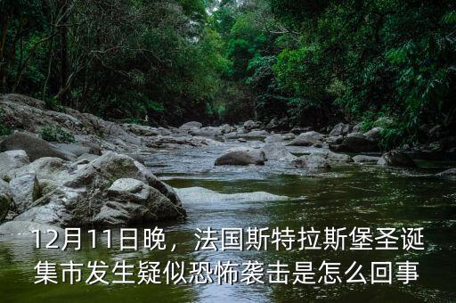 12月11日晚，法國斯特拉斯堡圣誕集市發(fā)生疑似恐怖襲擊是怎么回事