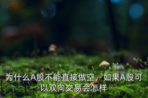 為什么A股不能直接做空，如果A股可以雙向交易會怎樣