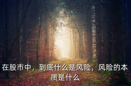 在股市中，到底什么是風(fēng)險(xiǎn)，風(fēng)險(xiǎn)的本質(zhì)是什么
