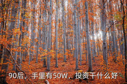 90后，手里有50W，投資干什么好