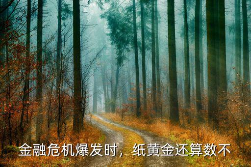 金融危機爆發(fā)時，紙黃金還算數(shù)不