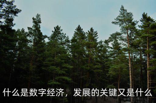 什么是數字經濟，發(fā)展的關鍵又是什么