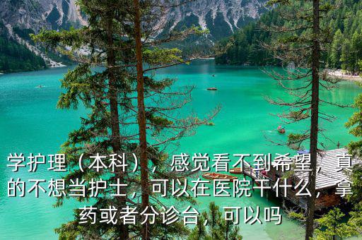 學(xué)護(hù)理（本科），感覺(jué)看不到希望，真的不想當(dāng)護(hù)士，可以在醫(yī)院干什么，拿藥或者分診臺(tái)，可以嗎
