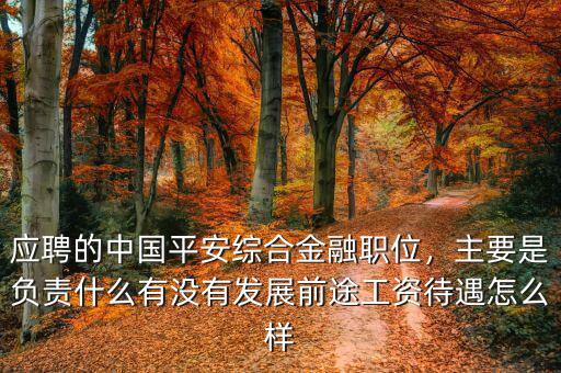 應(yīng)聘的中國平安綜合金融職位，主要是負(fù)責(zé)什么有沒有發(fā)展前途工資待遇怎么樣