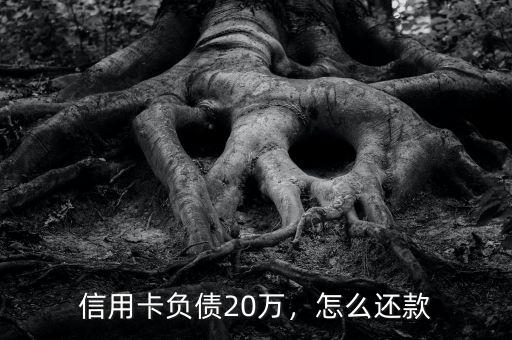 信用卡負(fù)債20萬，怎么還款