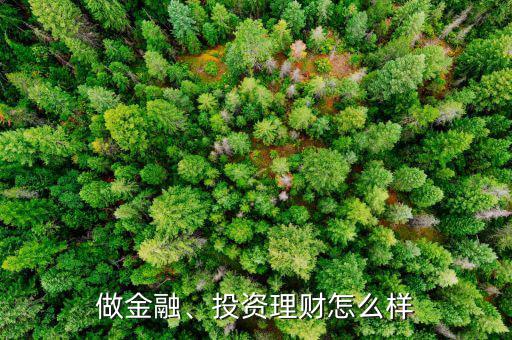 做金融、投資理財(cái)怎么樣