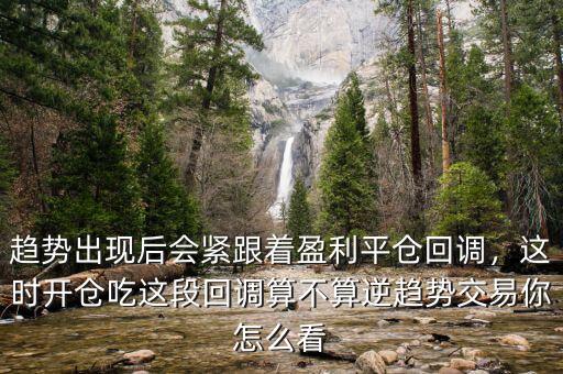 趨勢交易法中的回調浪怎么數(shù),在進行趨勢交易中