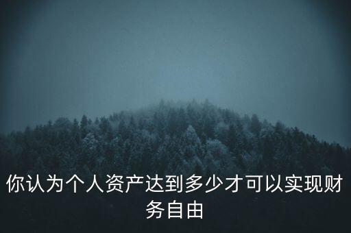你認(rèn)為個人資產(chǎn)達到多少才可以實現(xiàn)財務(wù)自由