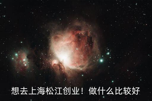 想去上海松江創(chuàng)業(yè)！做什么比較好