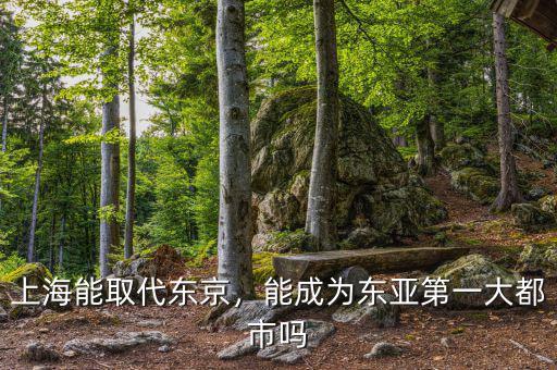 上海能取代東京，能成為東亞第一大都市嗎