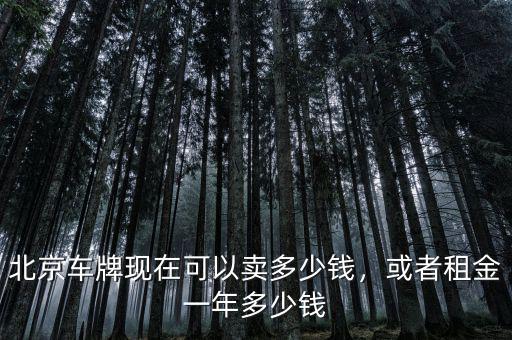 北京車牌現(xiàn)在可以賣多少錢，或者租金一年多少錢