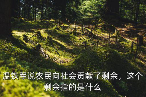溫鐵軍說農(nóng)民向社會貢獻了剩余，這個剩余指的是什么