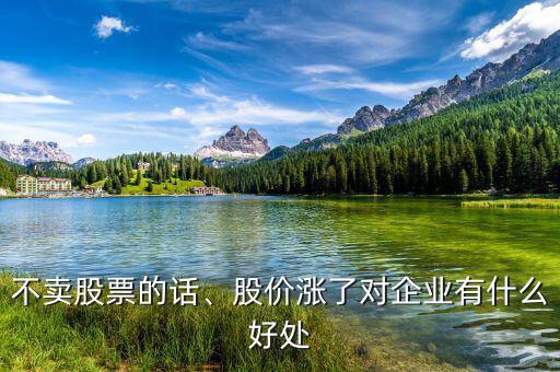 不賣股票的話、股價(jià)漲了對(duì)企業(yè)有什么好處