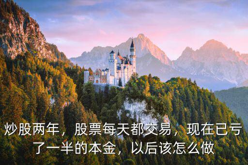 炒股兩年，股票每天都交易，現(xiàn)在已虧了一半的本金，以后該怎么做