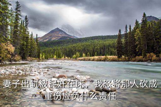 妻子出軌被捉奸在床，我怒將那人砍成重傷應(yīng)負什么責(zé)任