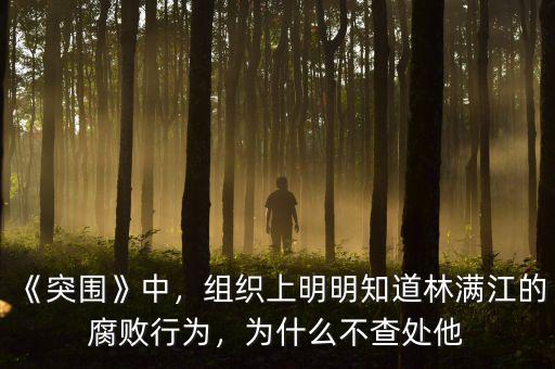 《突圍》中，組織上明明知道林滿江的腐敗行為，為什么不查處他