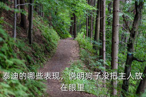泰迪的哪些表現(xiàn)，說明狗子沒把主人放在眼里