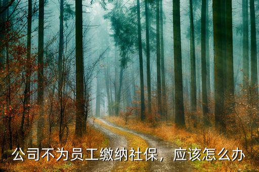 公司不為員工繳納社保，應(yīng)該怎么辦