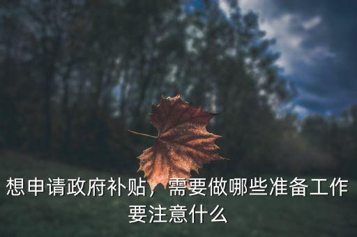 想申請政府補(bǔ)貼，需要做哪些準(zhǔn)備工作要注意什么