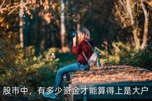 股市中，有多少資金才能算得上是大戶
