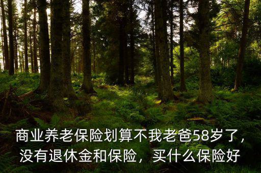 商業(yè)養(yǎng)老保險(xiǎn)劃算不我老爸58歲了，沒有退休金和保險(xiǎn)，買什么保險(xiǎn)好