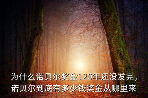 為什么諾貝爾獎(jiǎng)金120年還沒發(fā)完，諾貝爾到底有多少錢獎(jiǎng)金從哪里來(lái)