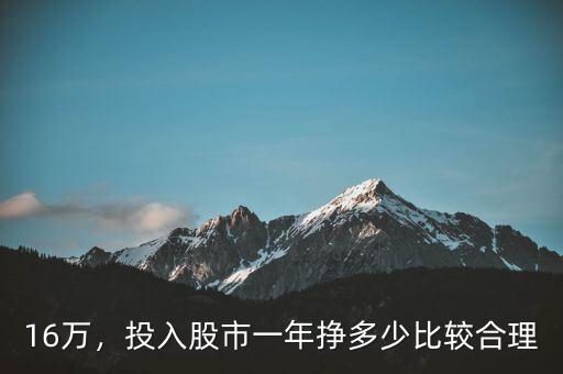 16萬，投入股市一年掙多少比較合理