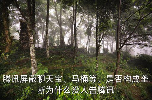 騰訊屏蔽聊天寶、馬桶等，是否構(gòu)成壟斷為什么沒人告騰訊