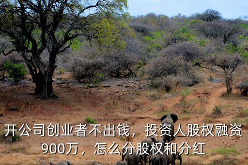 開公司創(chuàng)業(yè)者不出錢，投資人股權融資900萬，怎么分股權和分紅