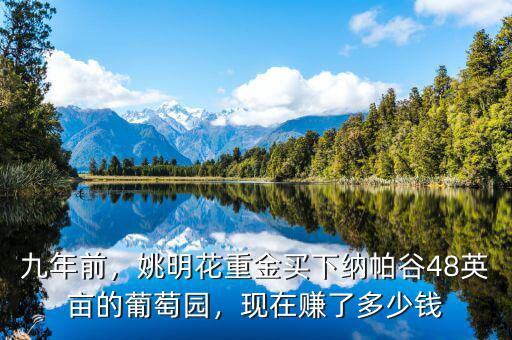 九年前，姚明花重金買下納帕谷48英畝的葡萄園，現(xiàn)在賺了多少錢