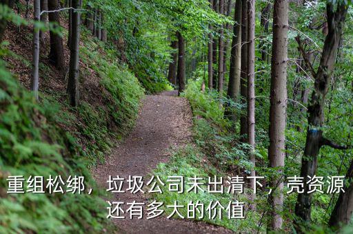重組松綁，垃圾公司未出清下，殼資源還有多大的價值