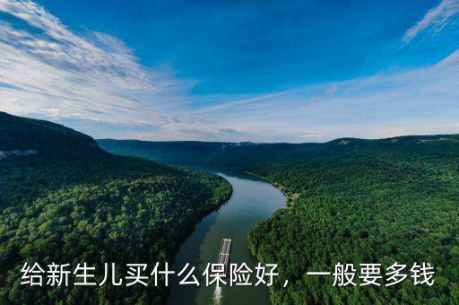 給新生兒買什么保險(xiǎn)好，一般要多錢