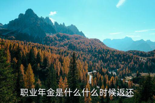 職業(yè)年金是什么什么時候返還