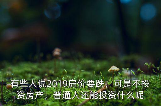 有些人說2019房價要跌，可是不投資房產，普通人還能投資什么呢
