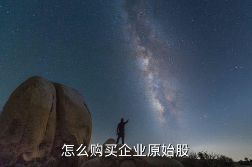 怎么買(mǎi)到原始股,如何購(gòu)買(mǎi)到原始股