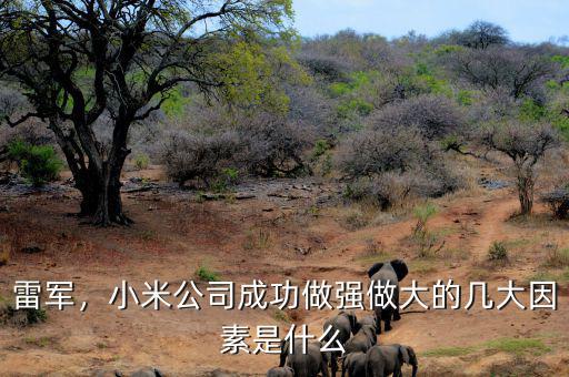 雷軍，小米公司成功做強做大的幾大因素是什么
