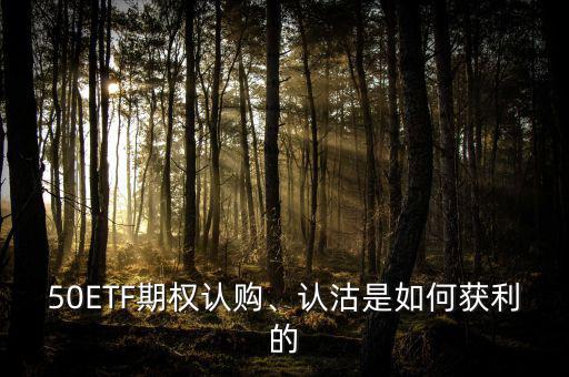 50ETF期權(quán)認(rèn)購、認(rèn)沽是如何獲利的