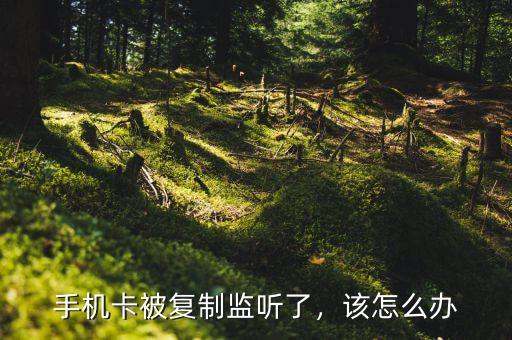手機卡被復(fù)制監(jiān)聽了，該怎么辦
